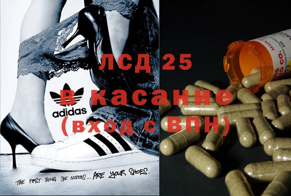 сатива Алзамай