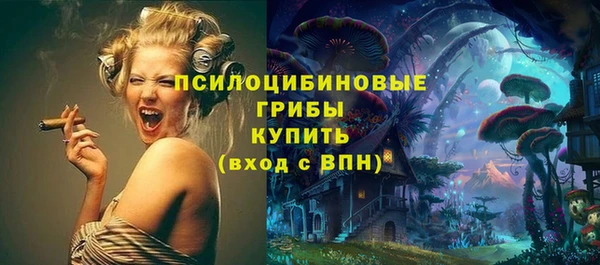 сатива Алзамай