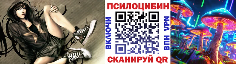 omg маркетплейс где найти Кизилюрт Галлюциногенные грибы прущие грибы