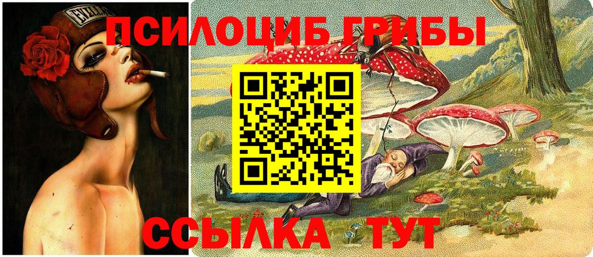 Галлюциногенные грибы GOLDEN TEACHER  Галлюциногенные грибы ЛСД  Вход с VPN  Кизилюрт 